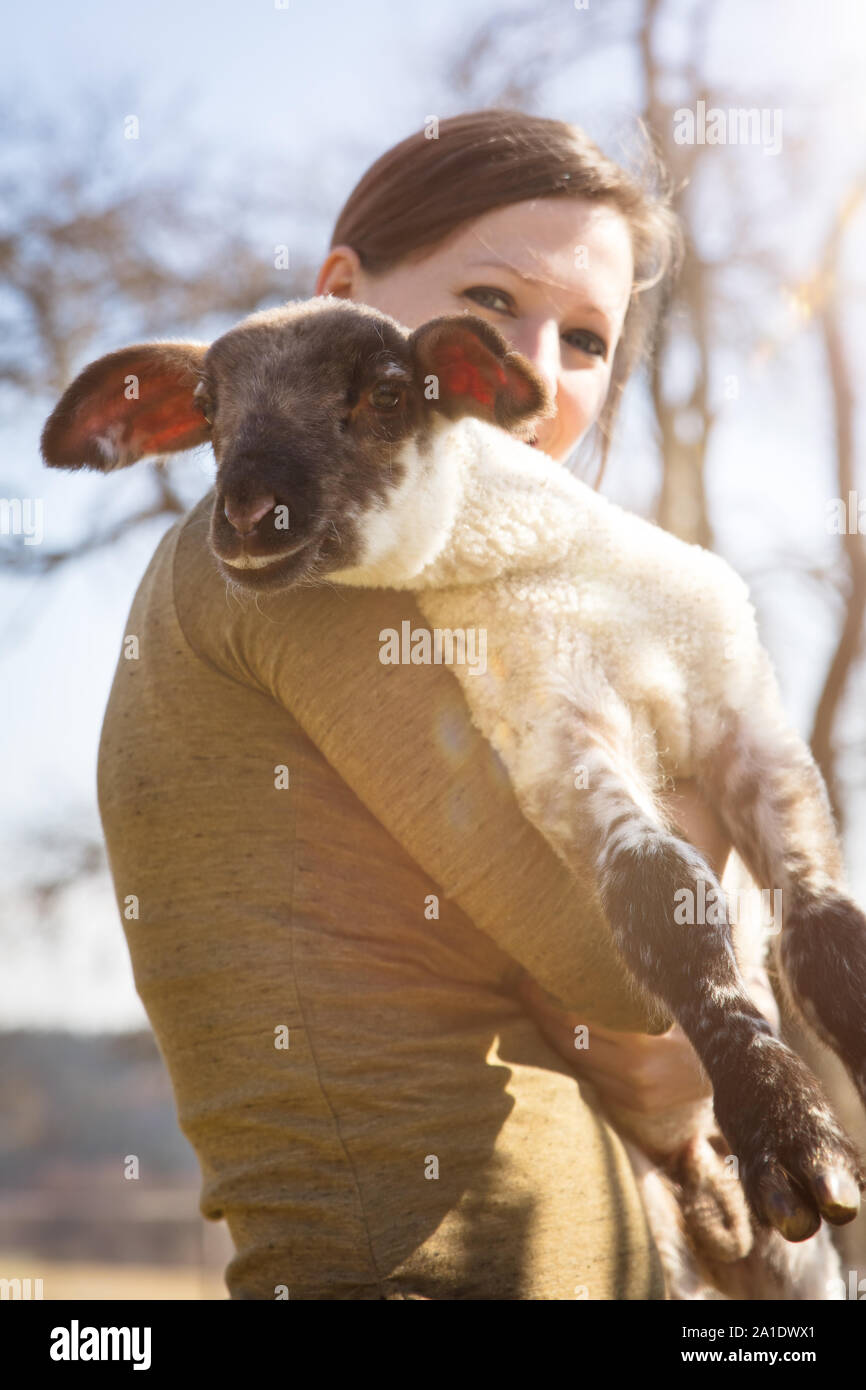 young woman holding a lamb, concept animal protecting and loving Stock Photo