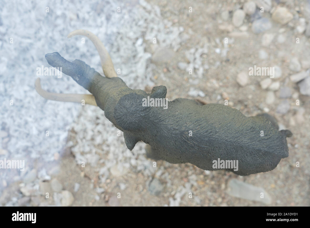 miniature model of a mammoth, birds eye view Stock Photo