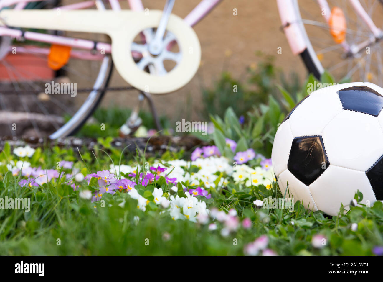 a soccerball and a bicycle on a green meadow Stock Photo