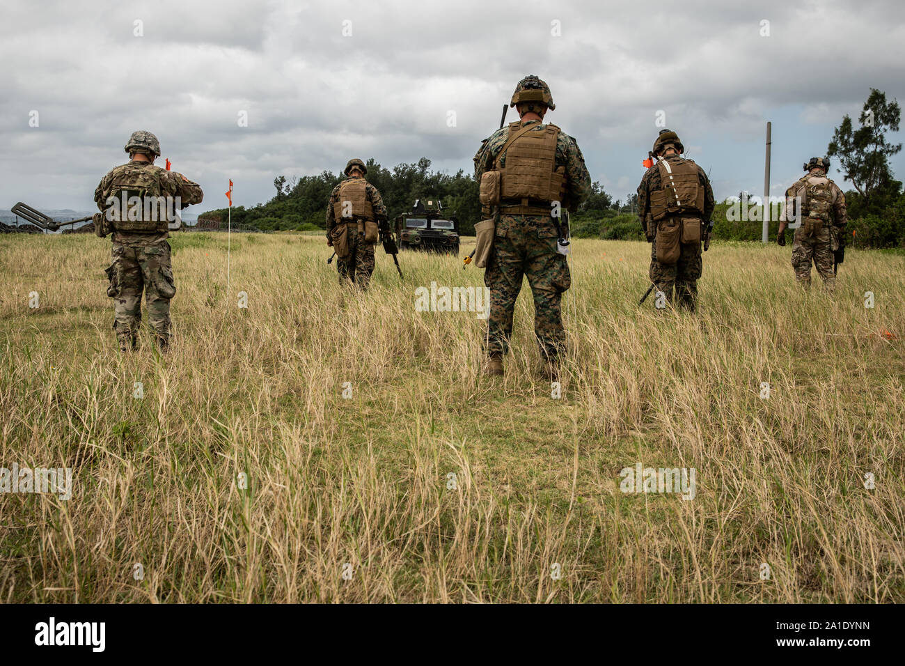 U.S. service members sweep for land mines during an explosive ordnance disposal exercise at Kin Blue Training Area, Okinawa, Japan, Sept. 19, 2019.  The EOD exercise was designed to simulate conventional warfare and the use of conventional ordnance and involved the participation of three U.S. military branches and over 43 different military occupational specialties within III Marine Expeditionary Force. (U.S. Marine Corps photo by Lance Cpl. Carla Elizabeth O) Stock Photo