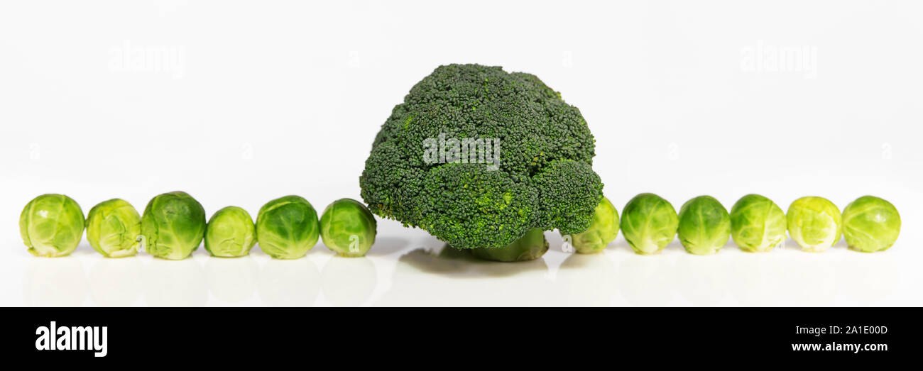 panorama of brussel sprouts and broccoli in front of white background Stock Photo