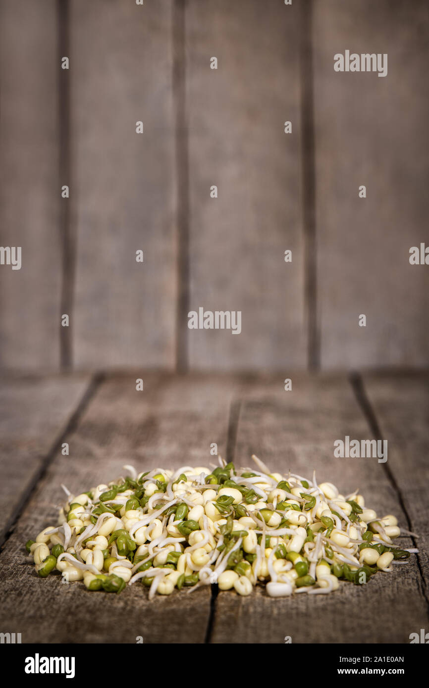 mung bean sprouts in front of a wooden rustic background with copyspace Stock Photo