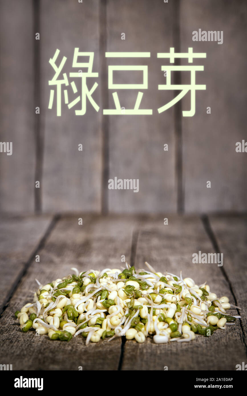 mung bean sprouts in front of a wooden rustic background with copyspace. Chinese characters which meaning mung bean sprouts Stock Photo