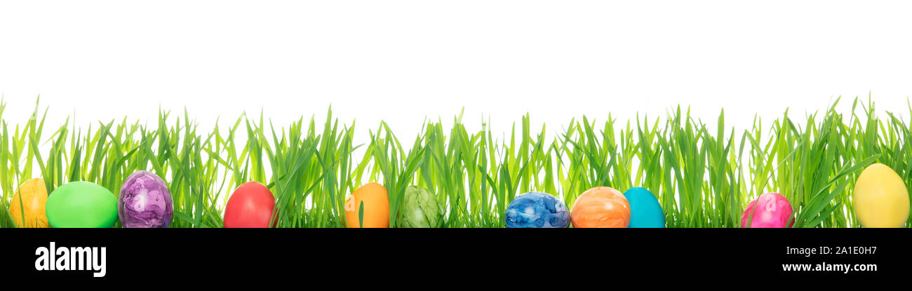 Easter eggs and grass blades, white Background with copyspace, concept Happy easter Stock Photo