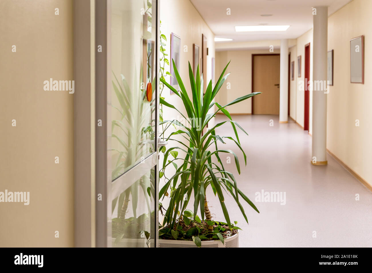 corridor in a public building or clinic with nobody in it Stock Photo