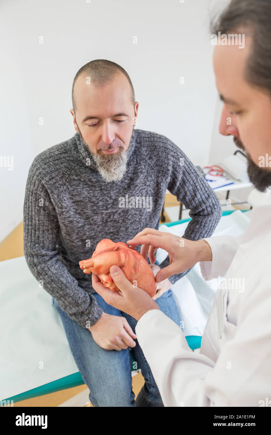 male cardiologist is showing a patient something on a synthetic heart Stock Photo