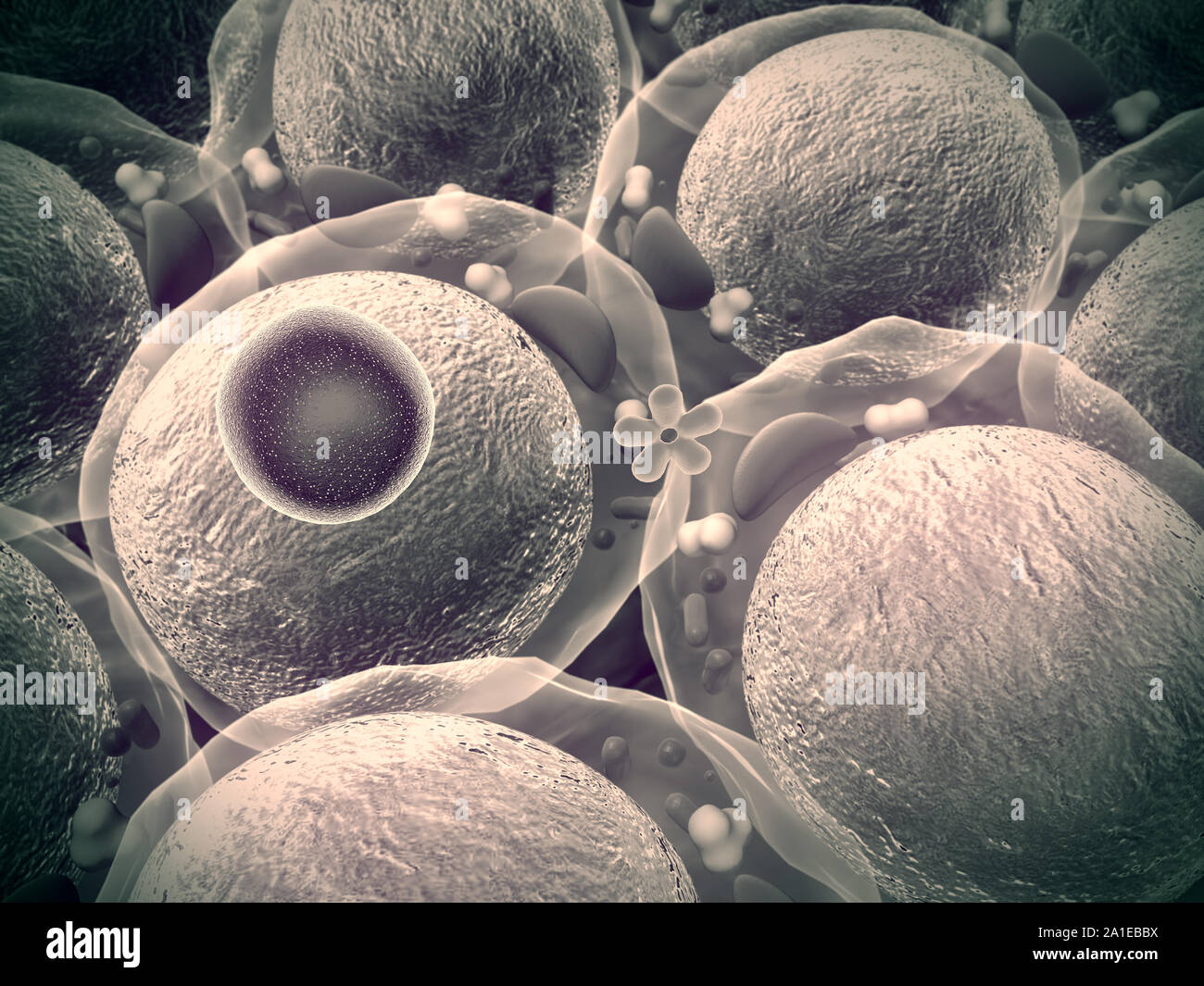 fat cell and Macrophage, field of fat cells, High quality 3d render of fat cells, cholesterol in a cells, field of cells, mechanism of action of insul Stock Photo