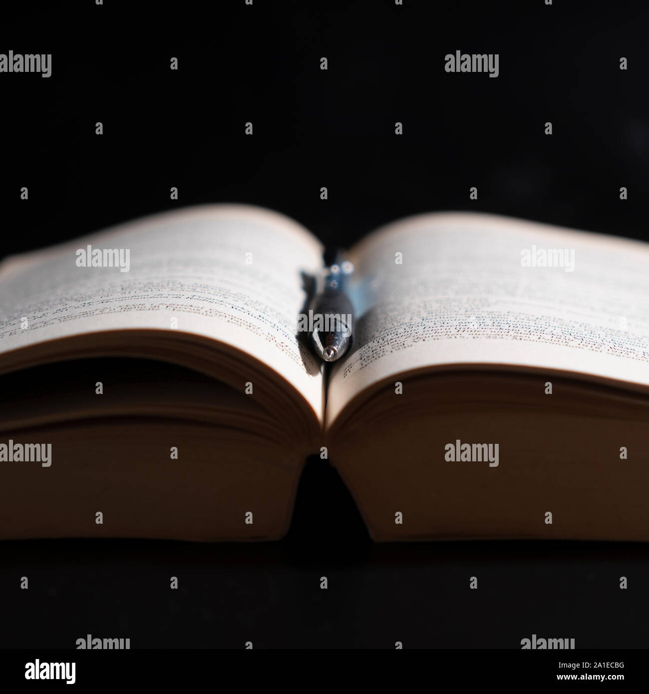 An open book in dim light with a pen on it Stock Photo