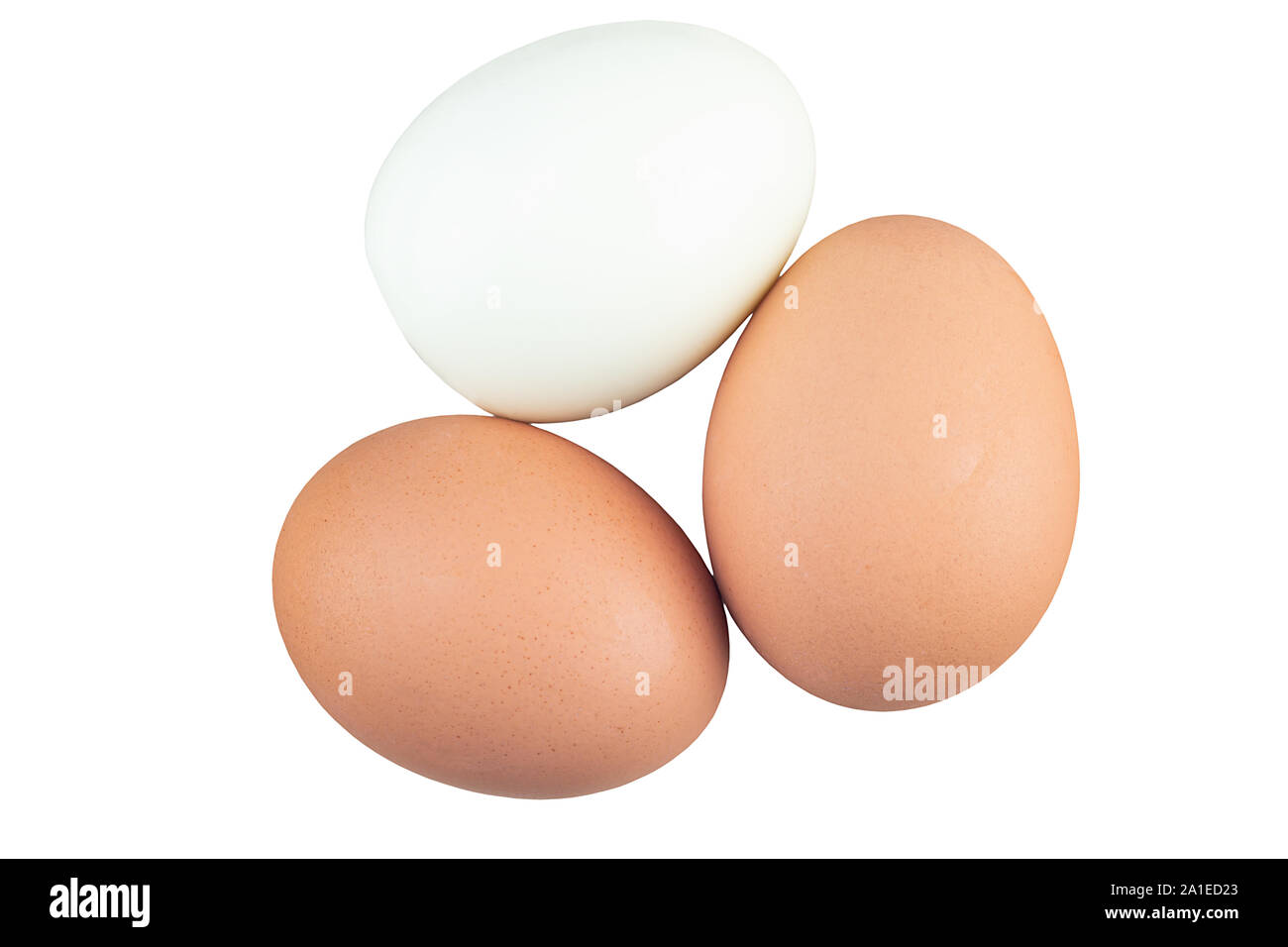 Boiled chicken eggs isolated on white background Stock Photo