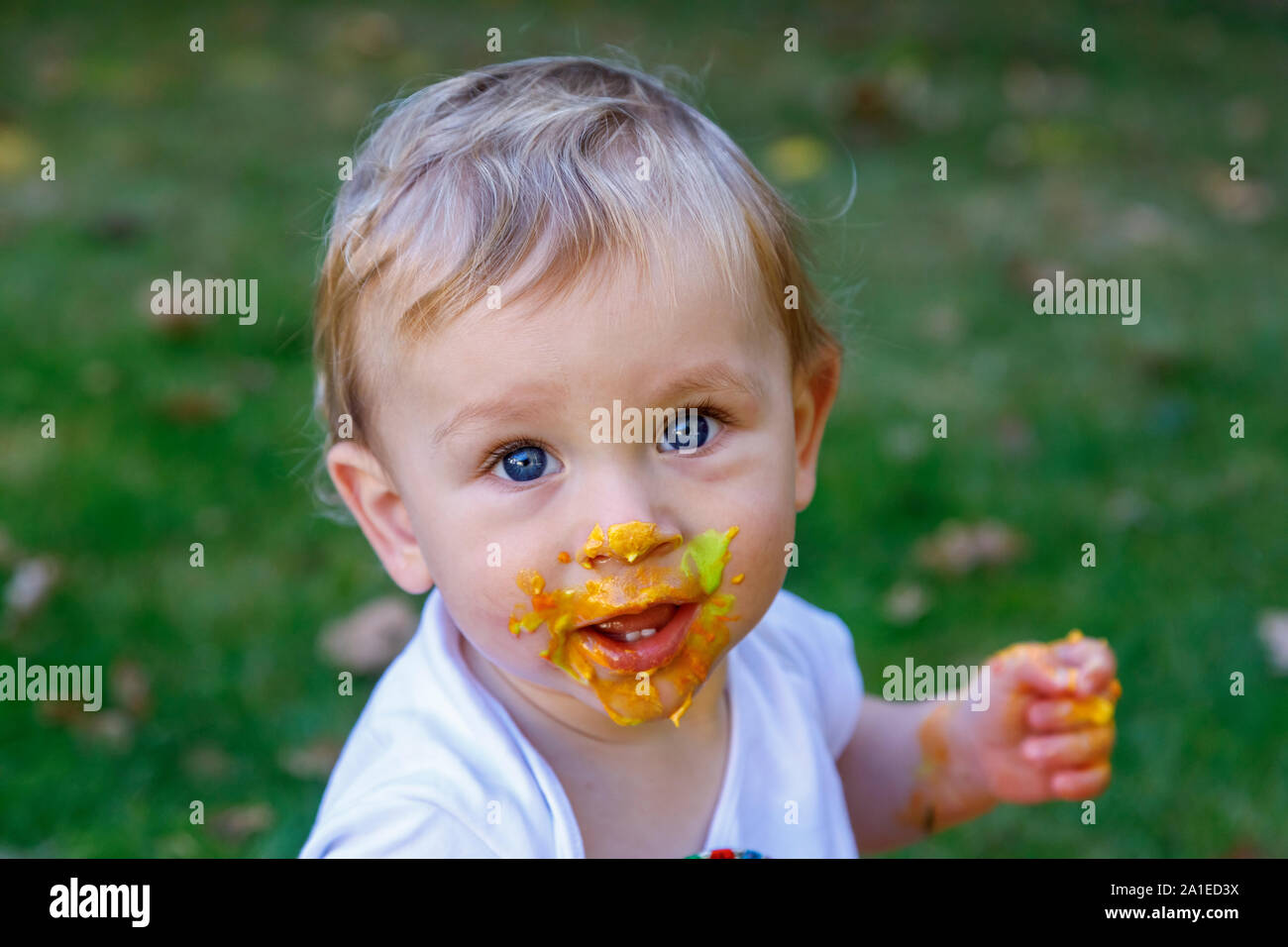 An adorable baby boy enjoys celebrating his first birthday at a party with a cake smash of a brightly coloured iced cake outdoors in the garden Stock Photo