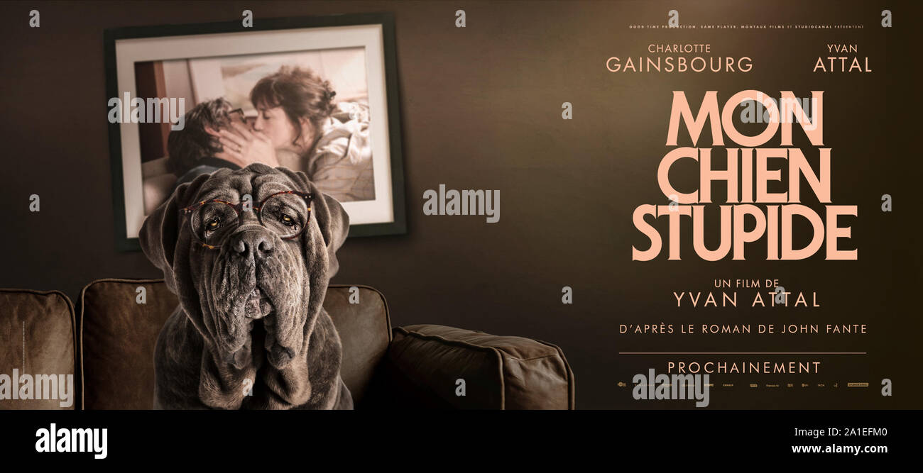 Cinema Chien Dog Stock Photos Cinema Chien Dog Stock