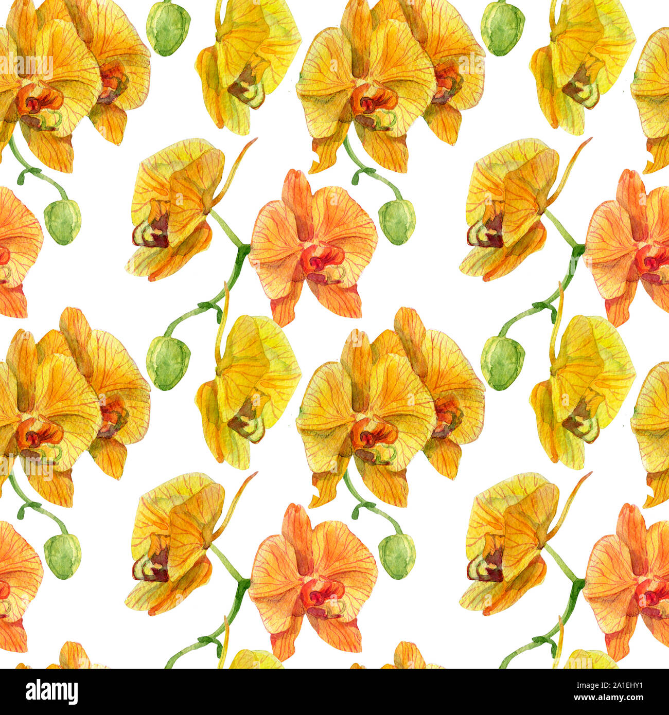 Watercolor orchid flowers seamless pattern. Hand drawn wallpaper design ...