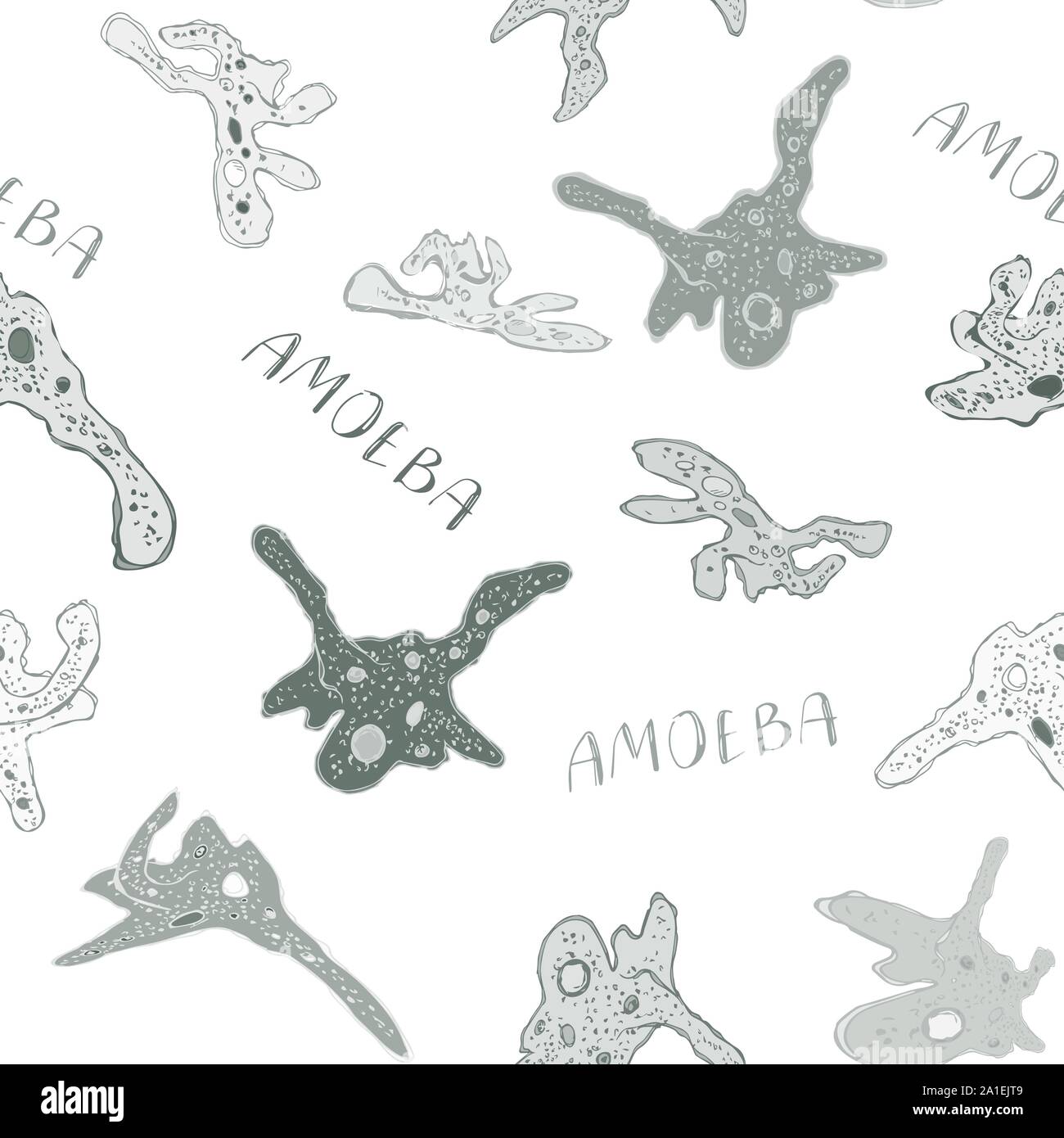 Seamless pattern of Amoeba proteus. Set of hand drawn doodle unicellular protozoa organisms. Cartoon Amoeba in grunge texture style. Vector illustrati Stock Vector