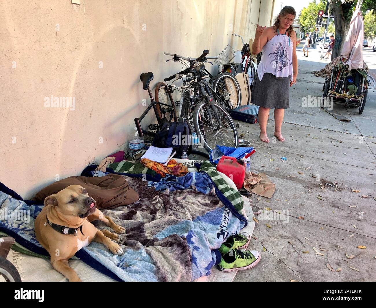 september-24-2019-santa-barbara-california-us-a-homeless-woman-and-her-dog-keep-guard-over-her-boyfriends-stuff-credit-image-amy-katzzuma-wire-2A1EKTK.jpg