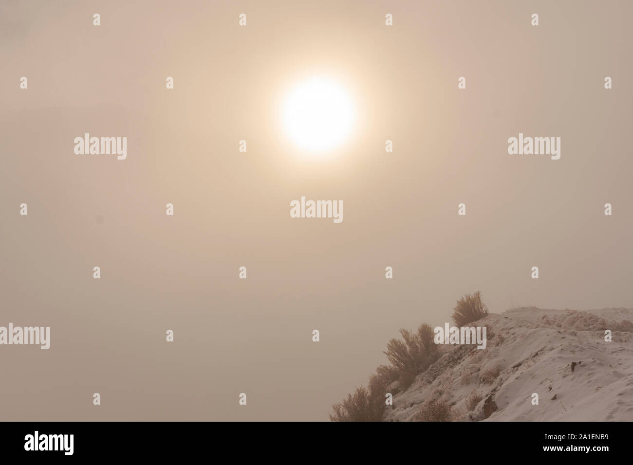 Scene view of snowy landscape in the fog with the shining sun on the top Stock Photo