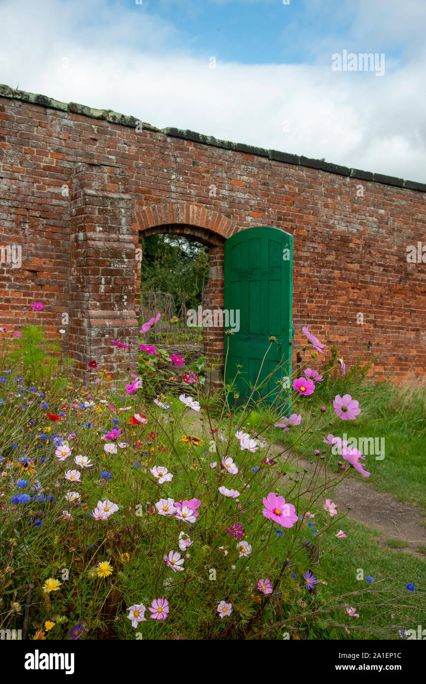 Wild flowers in a walled garden Stock Photo Alamy