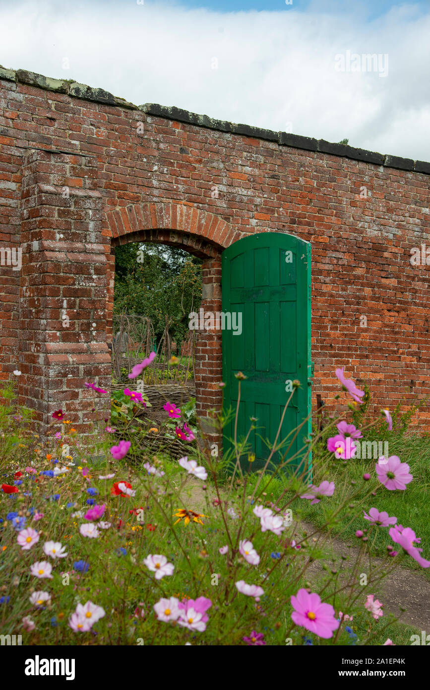 Wild flowers in a walled garden Stock Photo Alamy