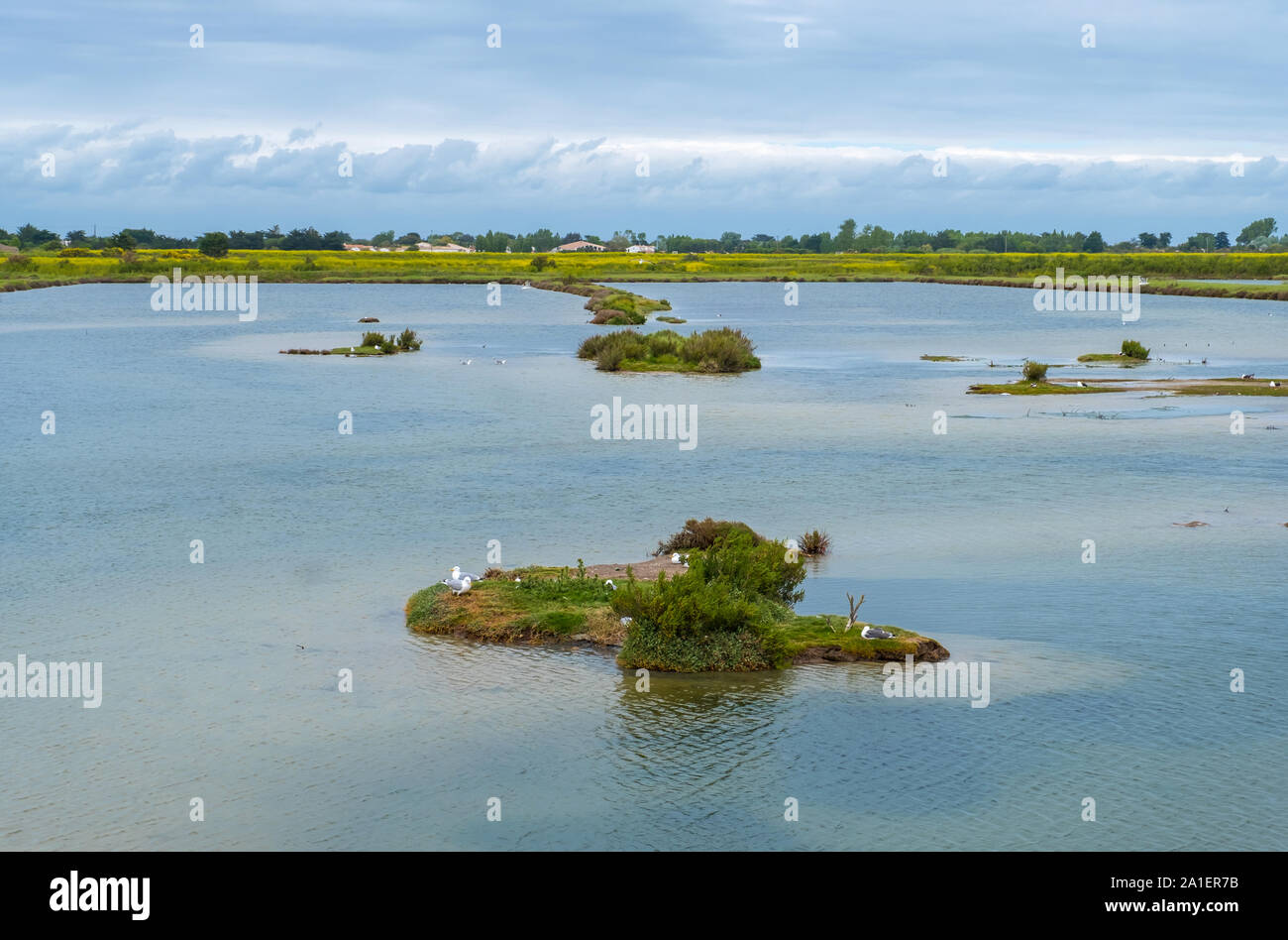 Beautiful view of Lilleau des Niges National Nature Reserve of Ile de Re island in France Stock Photo