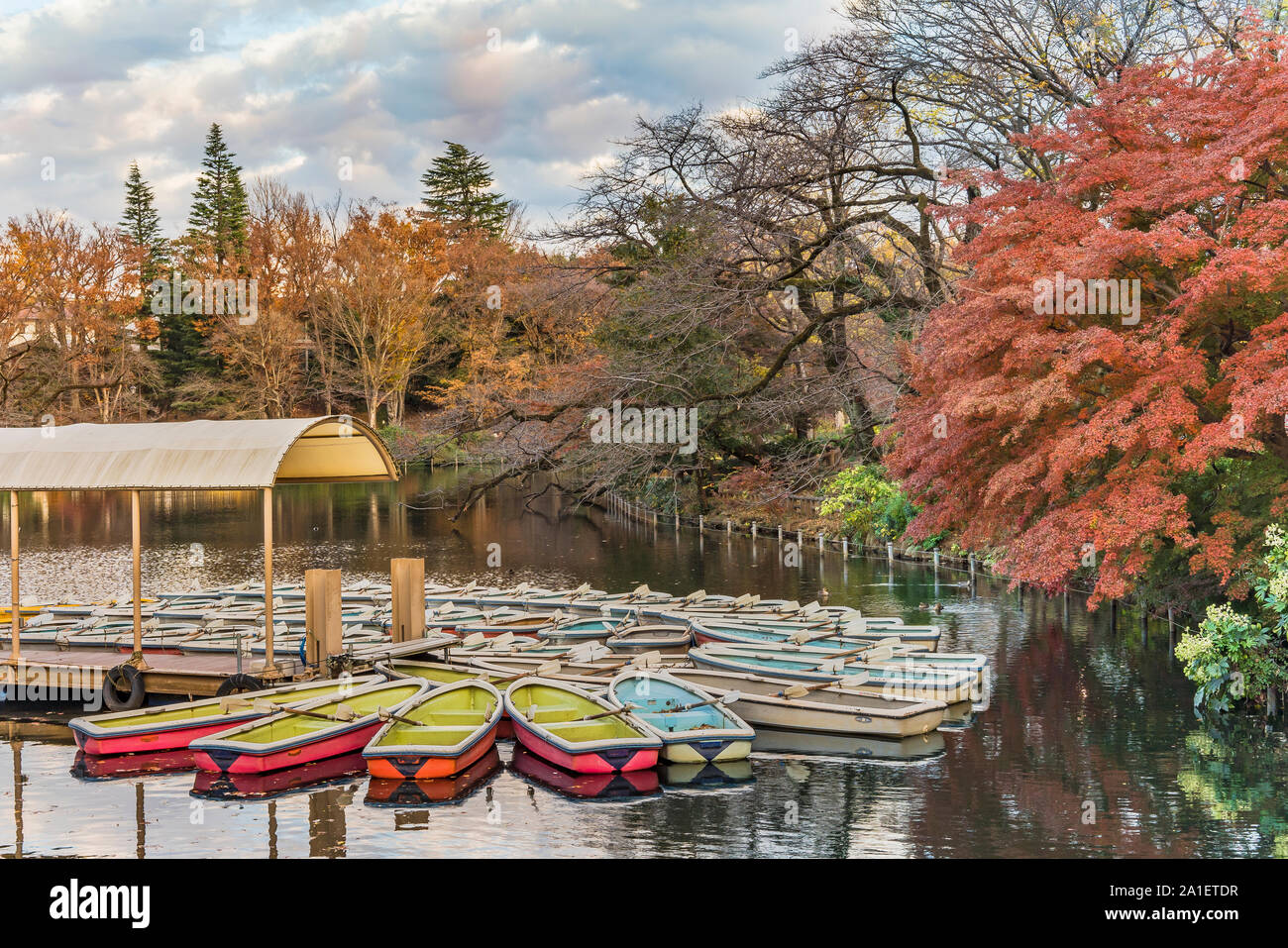 A Collection Of Boats Floating In The Pond Of Kichijoji Inokashira Park Stock Photo Alamy A Collection Of Boats Floating In The Pond Of Kichijoji Inokashira Park Stock Photo Alamy