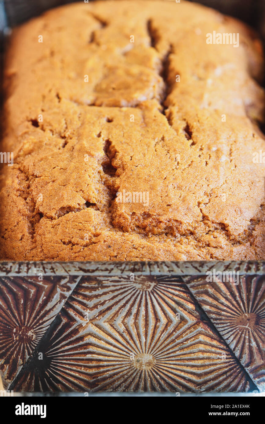 Abstract of extreme close up of fresh baked homemade pumpkin bread. Selective focus on foreground with blurred background. Stock Photo