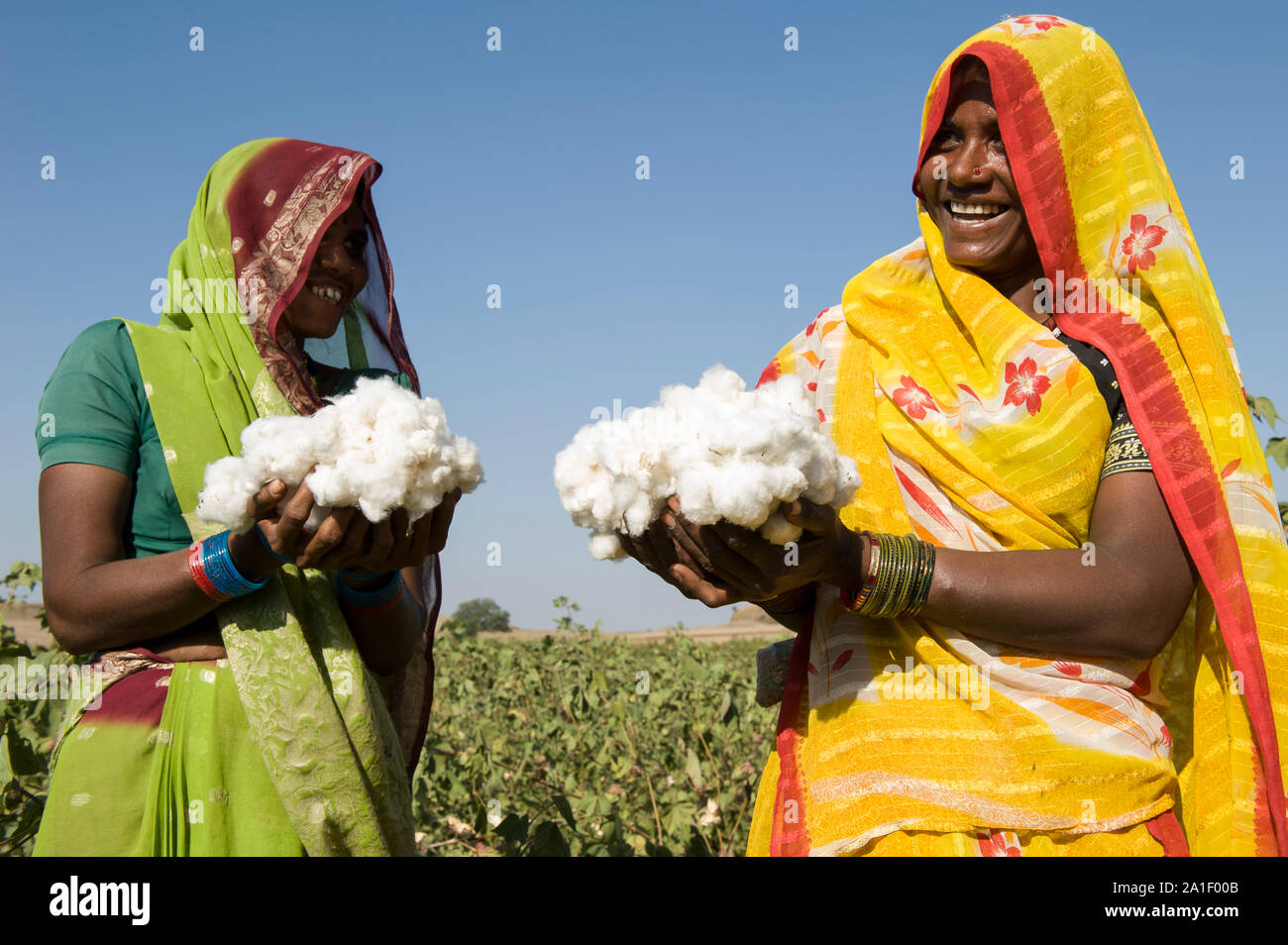 Fairtrade farmer india cotton hi-res stock photography and images - Alamy