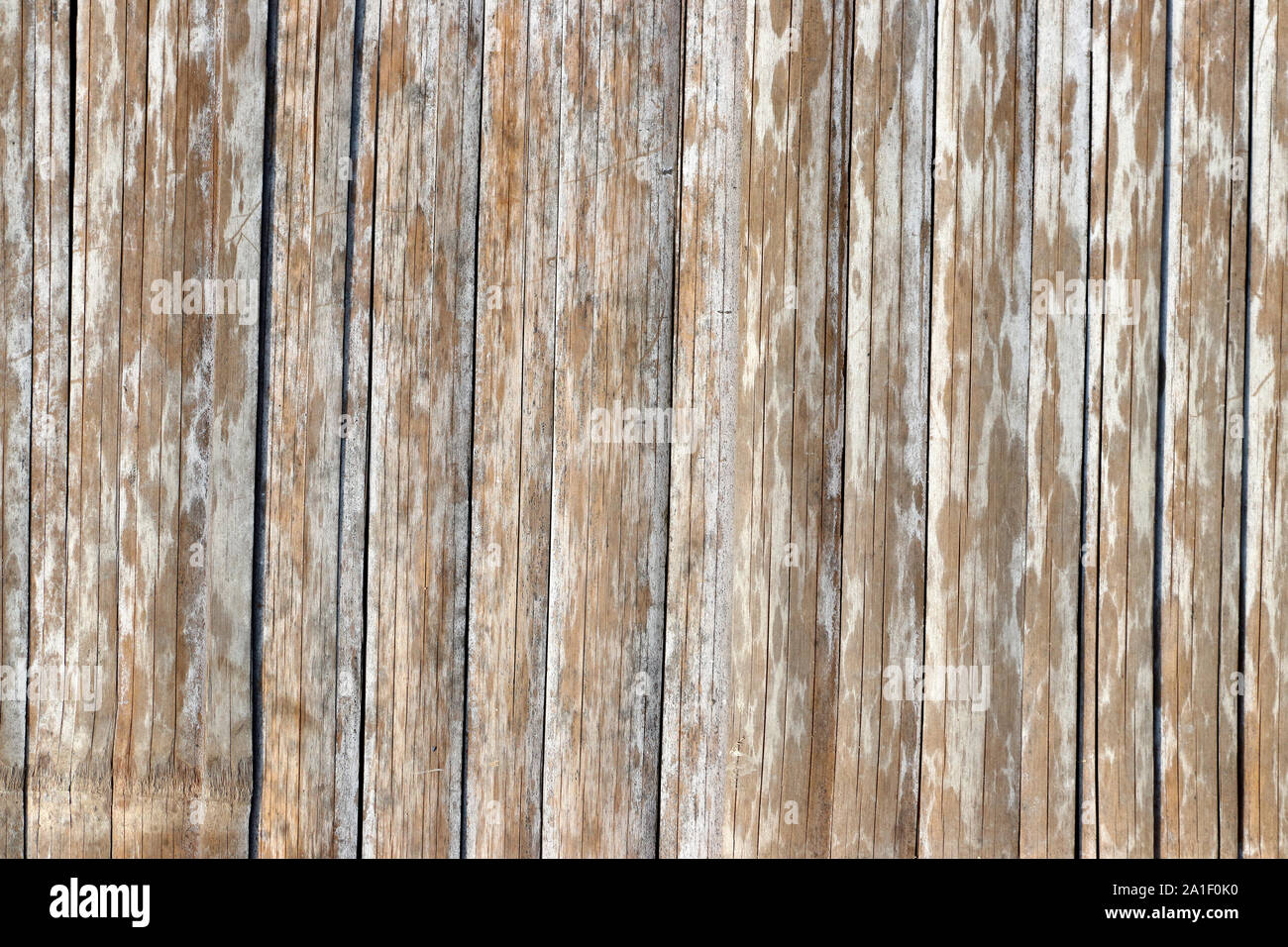 Close Up Of Bamboo Wood Background Texture Stock Photo, Picture and Royalty  Free Image. Image 15629531.