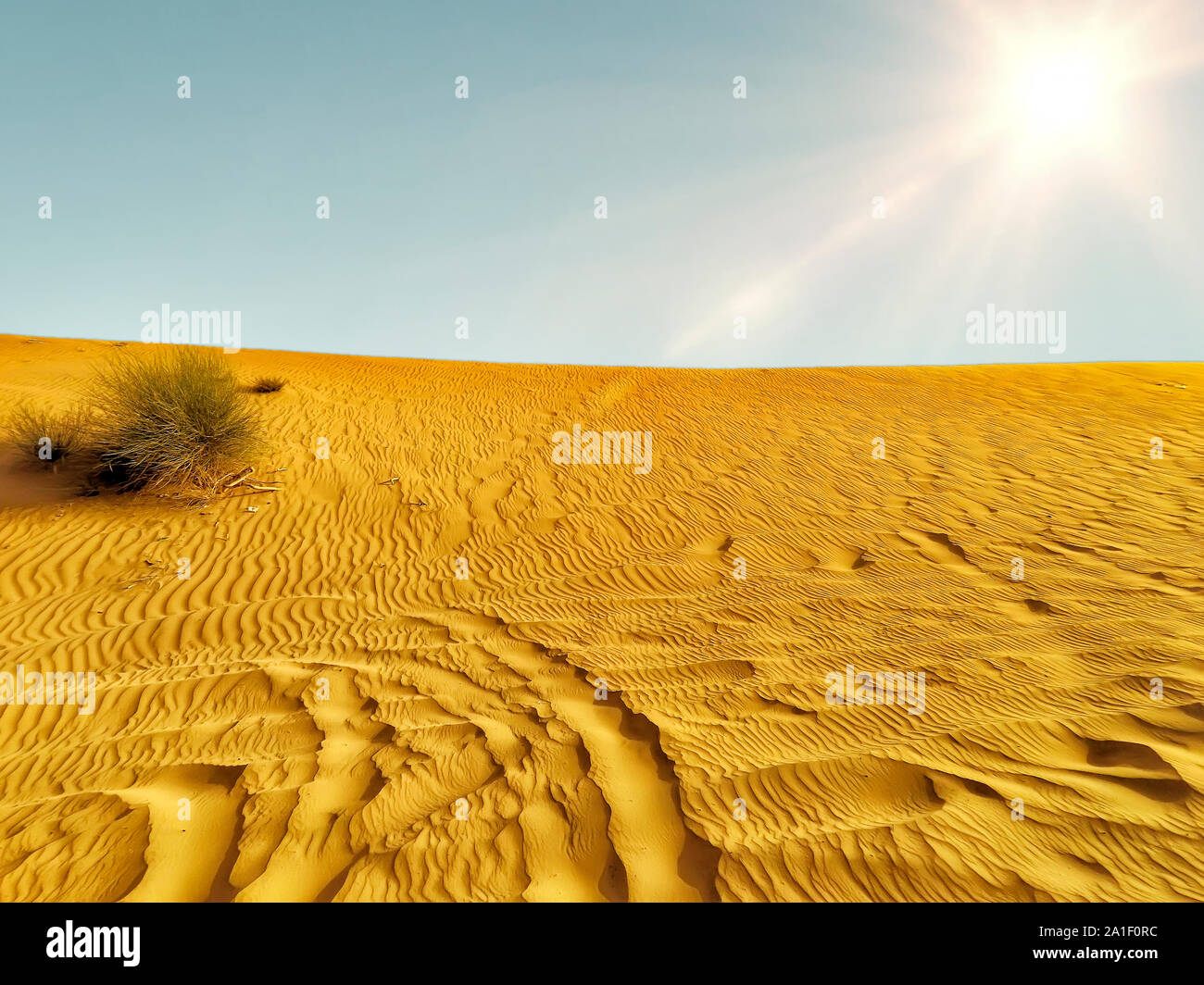 Sand dunes of the desert close up in Dubai with sunlight Stock Photo ...