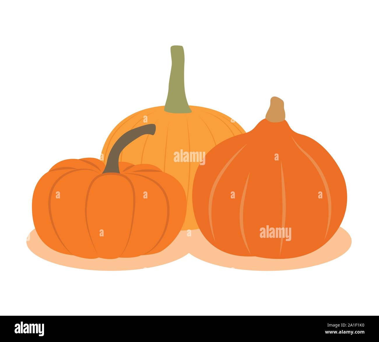 three different pumpkins isolated on white background vector illustration EPS10 Stock Vector