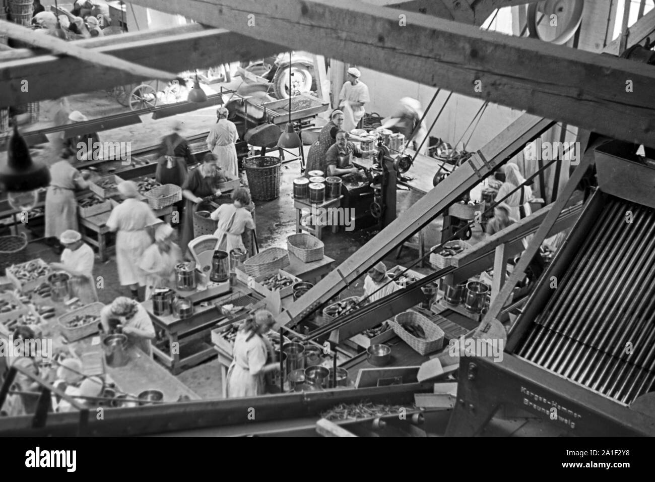 Werkshalle der Konservenfabrik C. Th. Lampe in Braunschweig, Deutschland  1939. Workshop of the canning factory C. Th. Lampe in Brunswick, Germany  1939 Stock Photo - Alamy