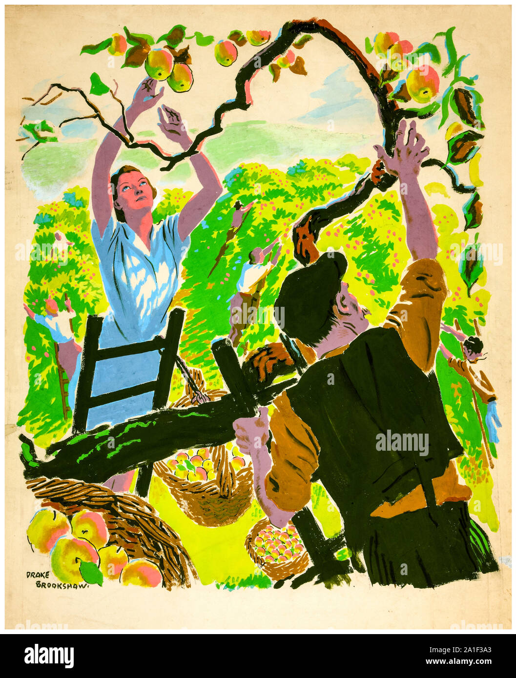 British, WW2, food production poster, Apple picking, 1939-1946 Stock Photo