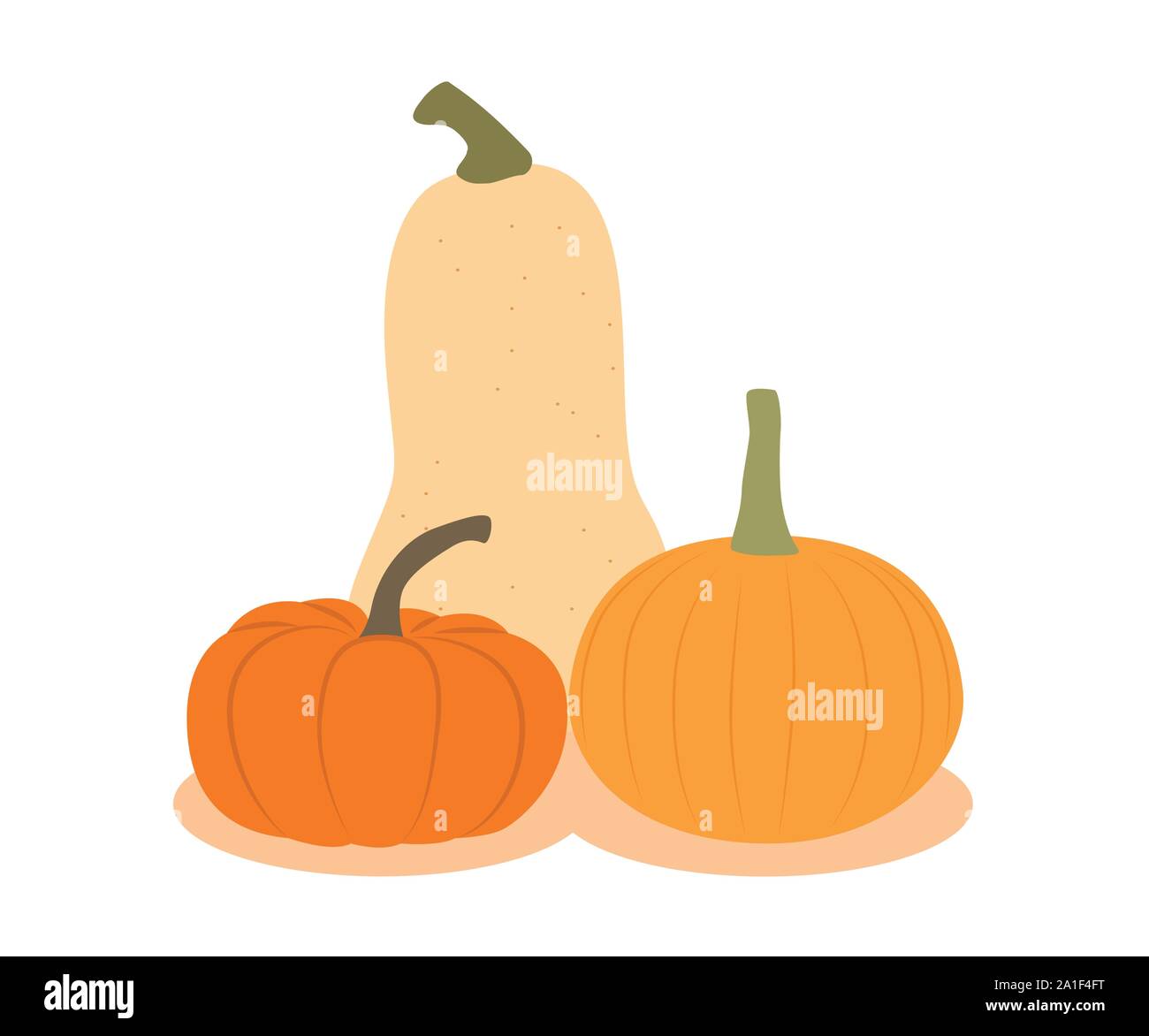 three different pumpkins isolated on white background vector illustration EPS10 Stock Vector