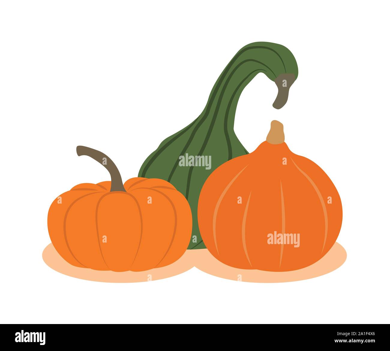 three different pumpkins isolated on white background vector illustration EPS10 Stock Vector