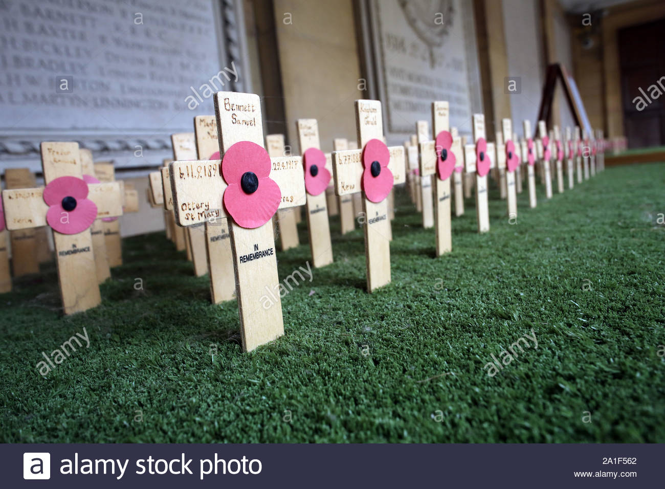 Poppies on crosses in Cambridge as Remembrance Day approaches Stock Photo