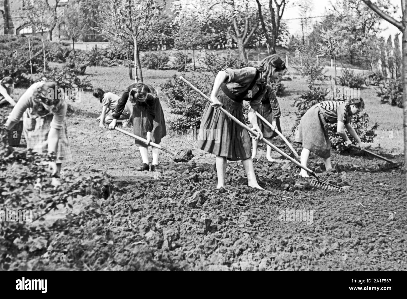 Mädchen bei der Feldarbeit in Frankfurt an der Oder, Deutschland 1948