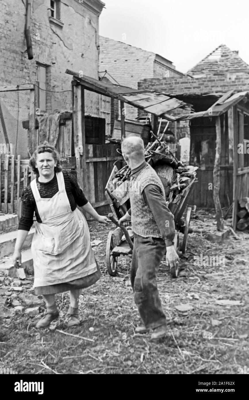 Ein Paar transportiert Brennholz auf einem Handkarren in Lebus an der Oder, Deutschland 1949. A couple carrying some fire wood on a pull cart at Lebus, Germany 1949. Stock Photo
