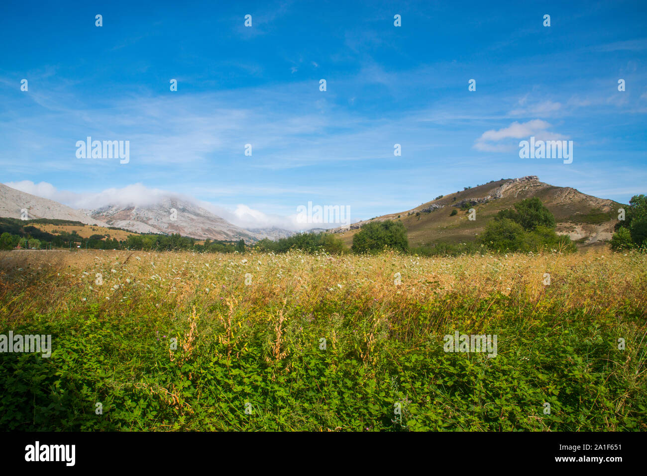 Campo de cultivo de cereales hi-res stock photography and images - Alamy