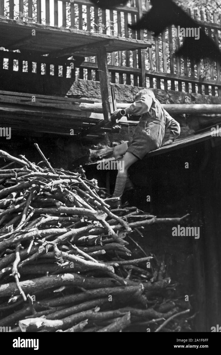 Lagerung von Brennholz, Brandenburg, Deutschland, 1940er Jahre. Storage of firewood, Brandenburg, Germany, 1940s. Stock Photo