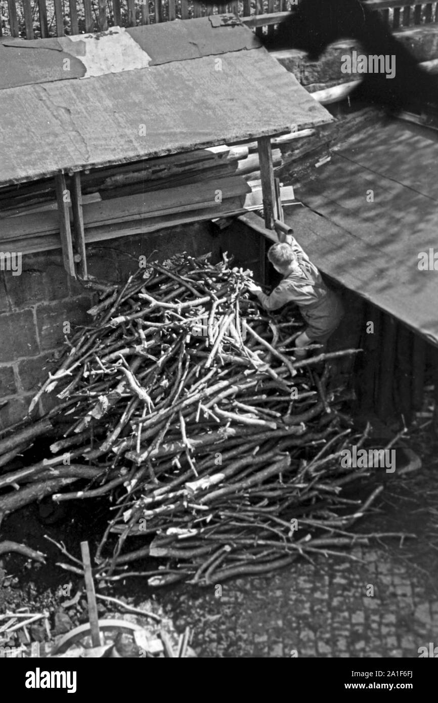 Lagerung von Brennholz, Brandenburg, Deutschland, 1940er Jahre. Storage of firewood, Brandenburg, Germany, 1940s. Stock Photo