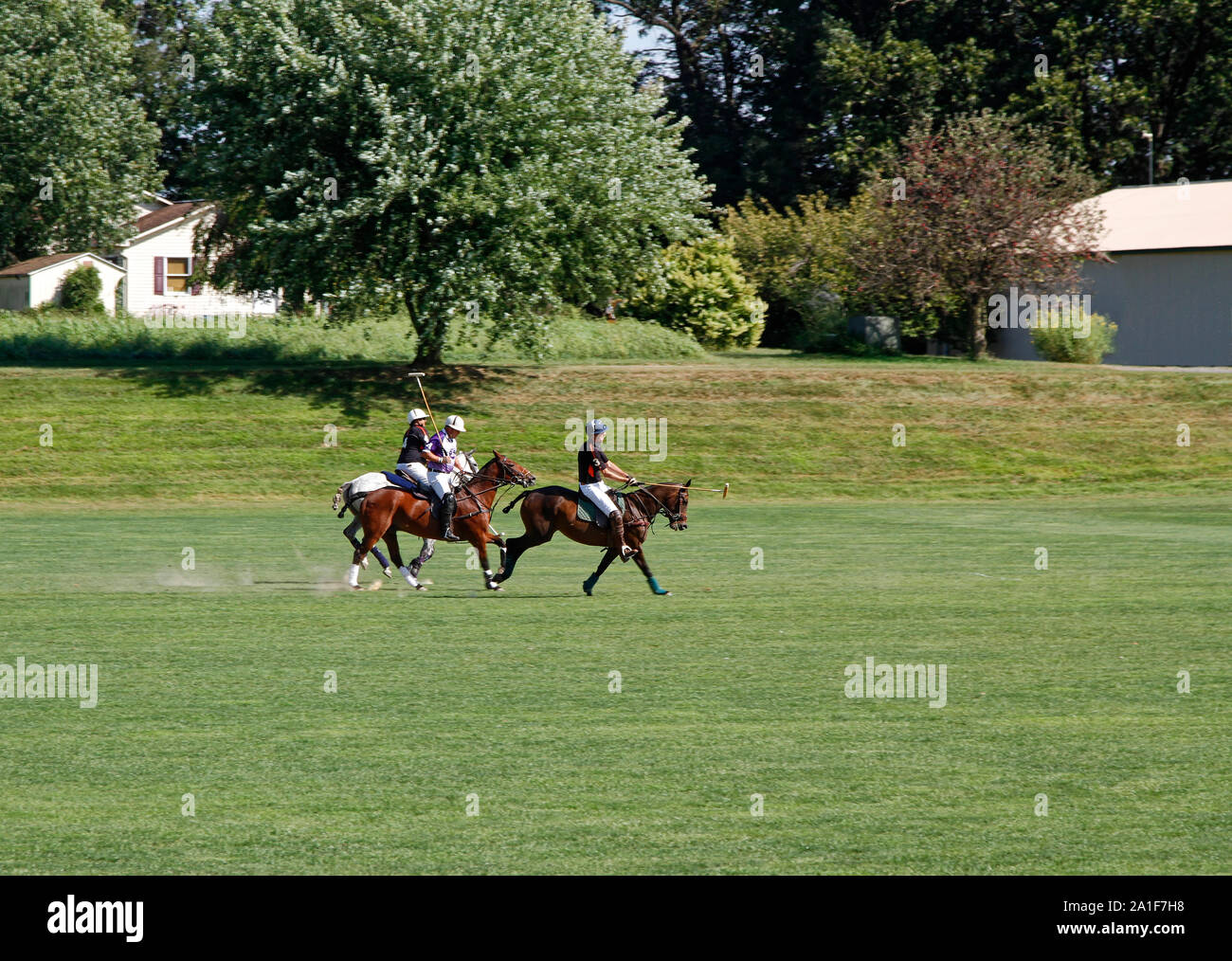 Fast action hires stock photography and images Alamy