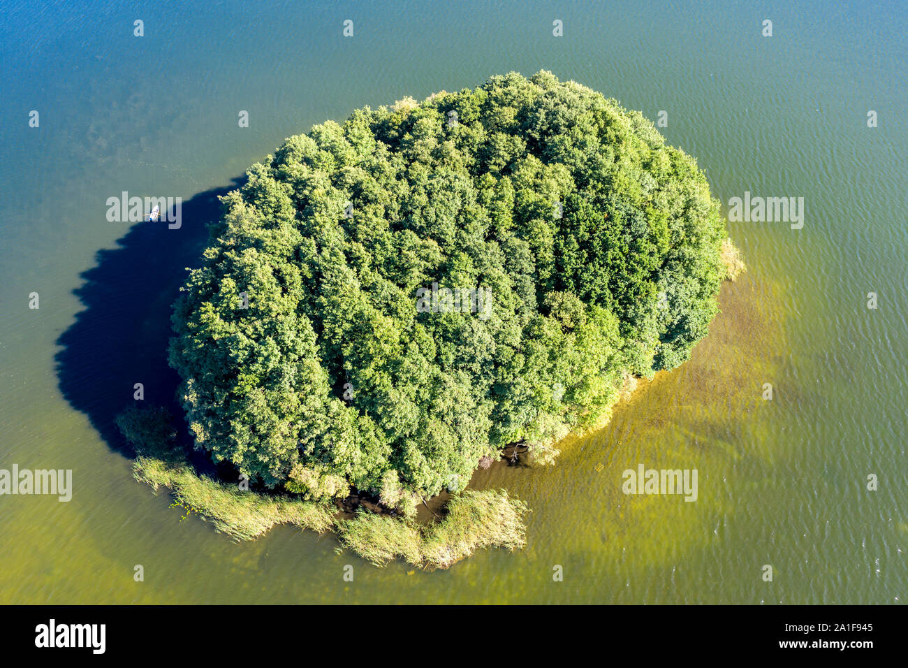Drone shot, aerial view over island in lake Schwarzer See, single rowing boat, Mecklenburg lake district, Mecklenburg-Vorpommern, Germany Stock Photo