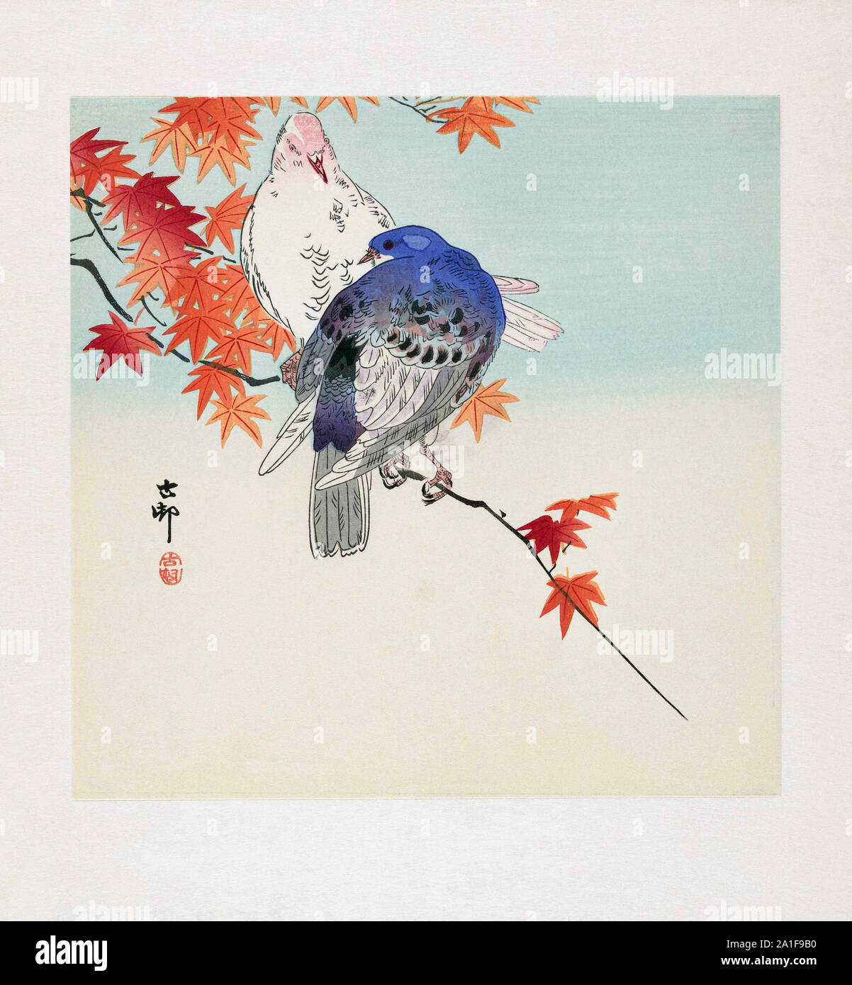 Two Pigeons on a Branch with Autumn Leaves, by Japanese artist Ohara Koson, 1877 - 1945.  Ohara Koson was part of the shin-hanga, or new prints movement. Stock Photo