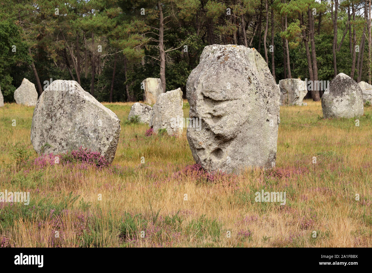 Menhirs of the Alignements of Kerlescan, rows of standing stones, the largest megalithic site in the world, Carnac, Brittany, France Stock Photo