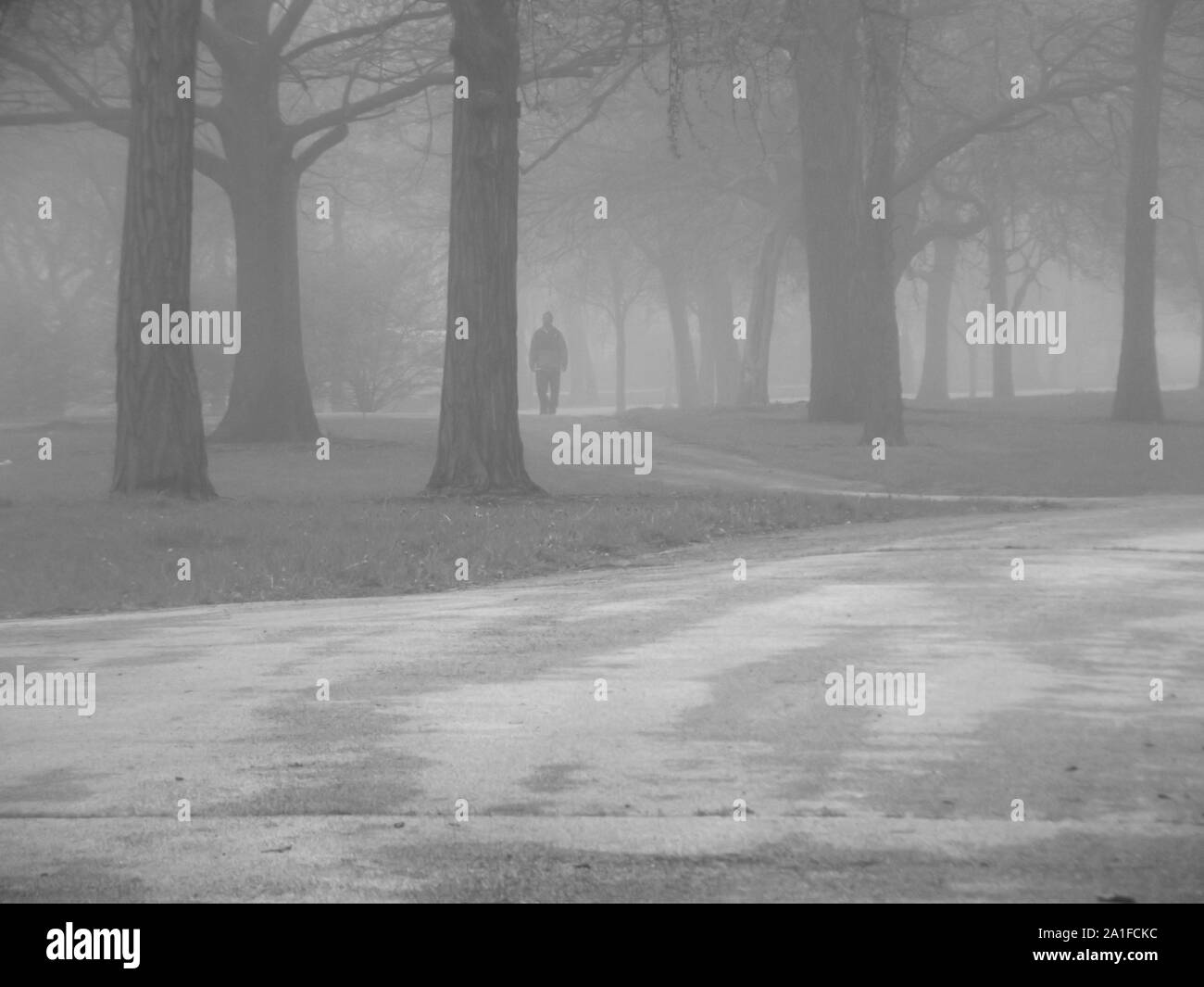 Man Walking Alone In Foggy Forest Stock Photo