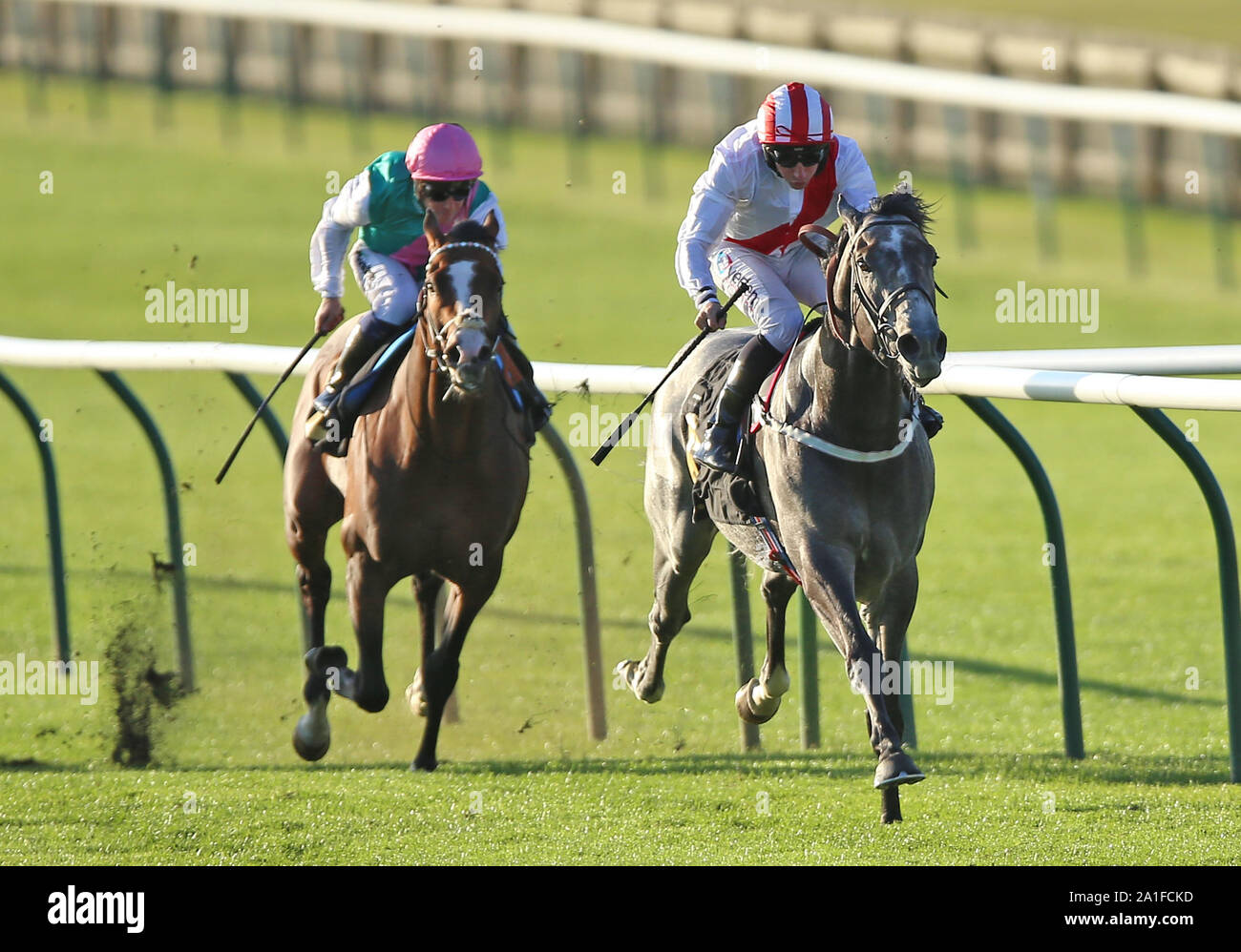 Top Riden Top rank ridden hi-res stock photography and images - Alamy