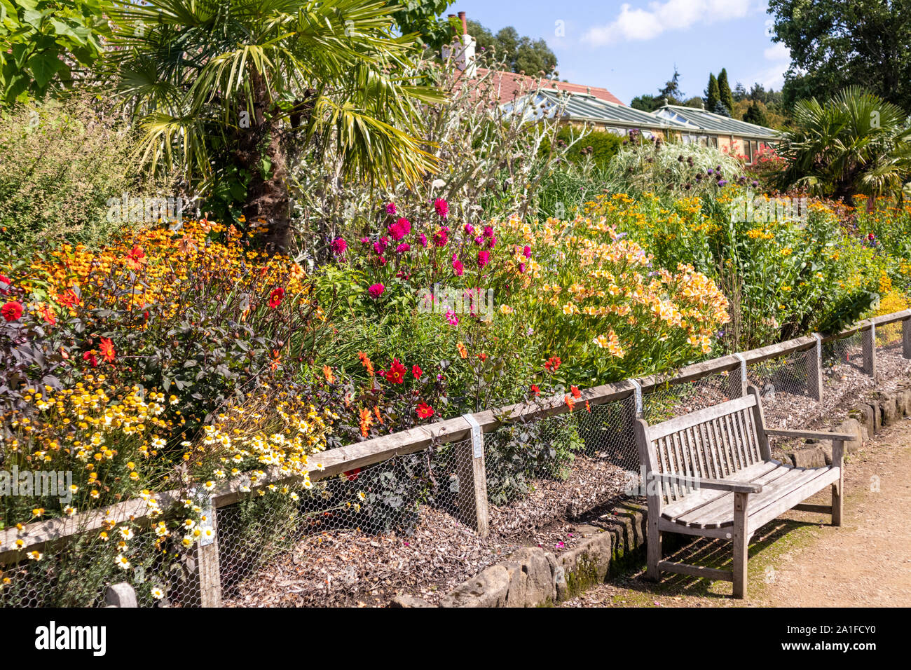 A wonderful display of summer flowers in Golden Acre Park, Leeds, West Yorkshire UK Stock Photo