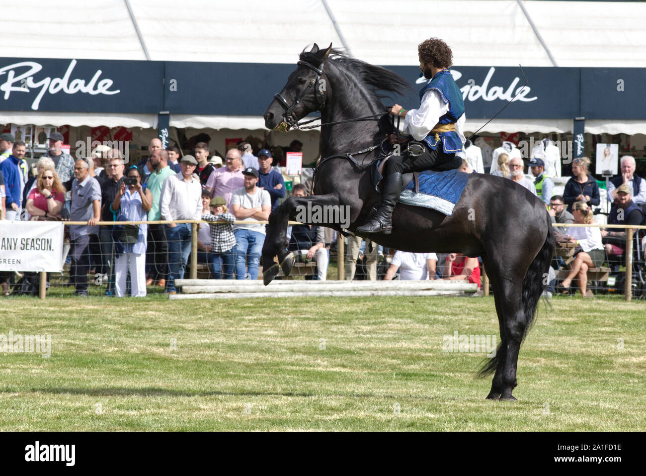 horse and rider, demonstrating equestrian skills Stock Photo