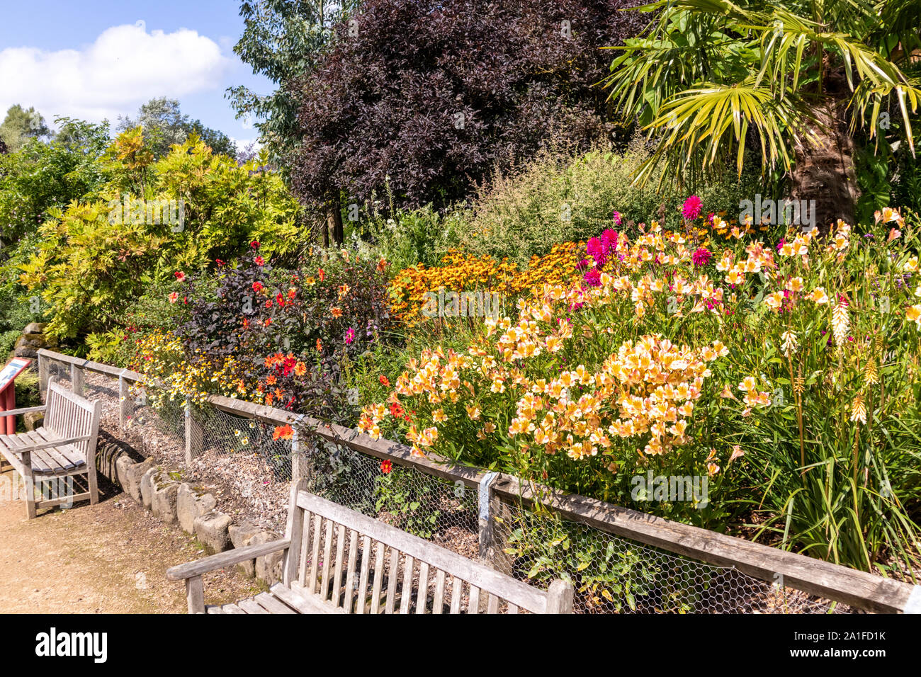 A wonderful display of summer flowers in Golden Acre Park, Leeds, West Yorkshire UK Stock Photo