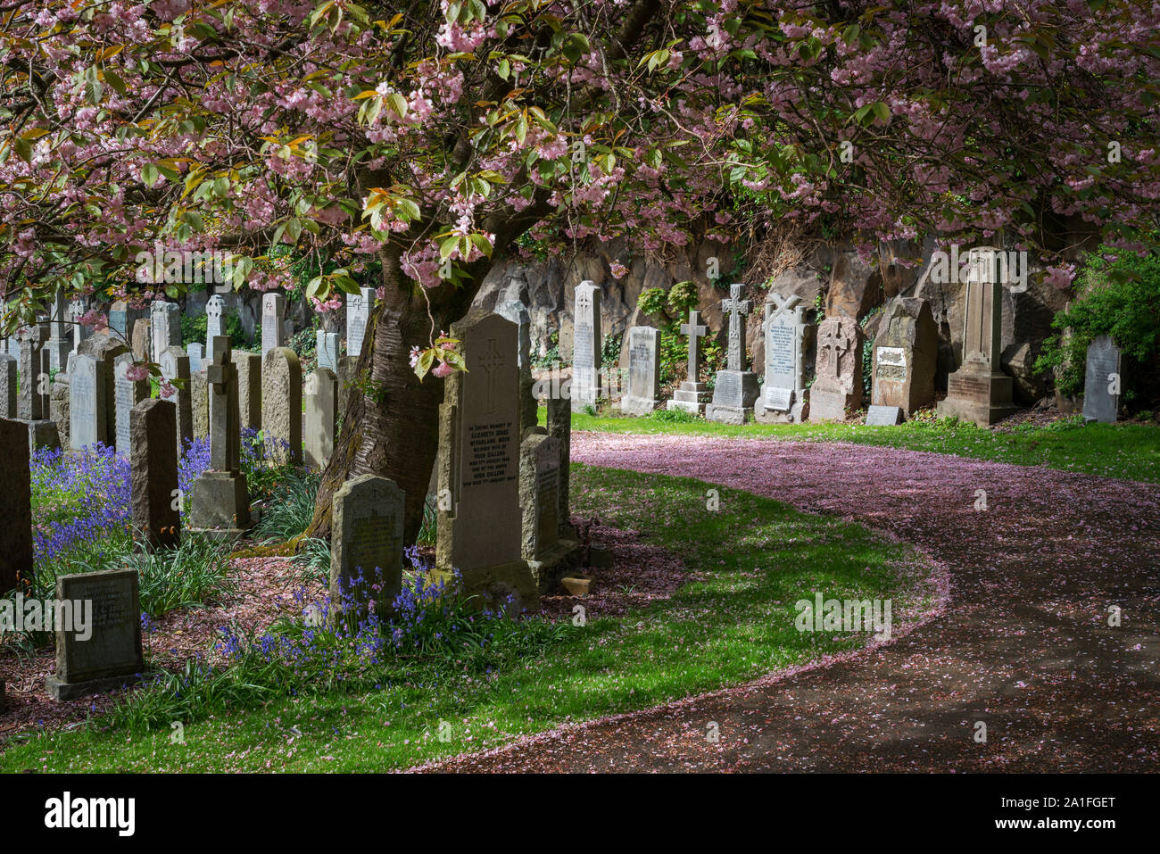 An old graveyard in Stirling - Scotland - during spring time Stock Photo