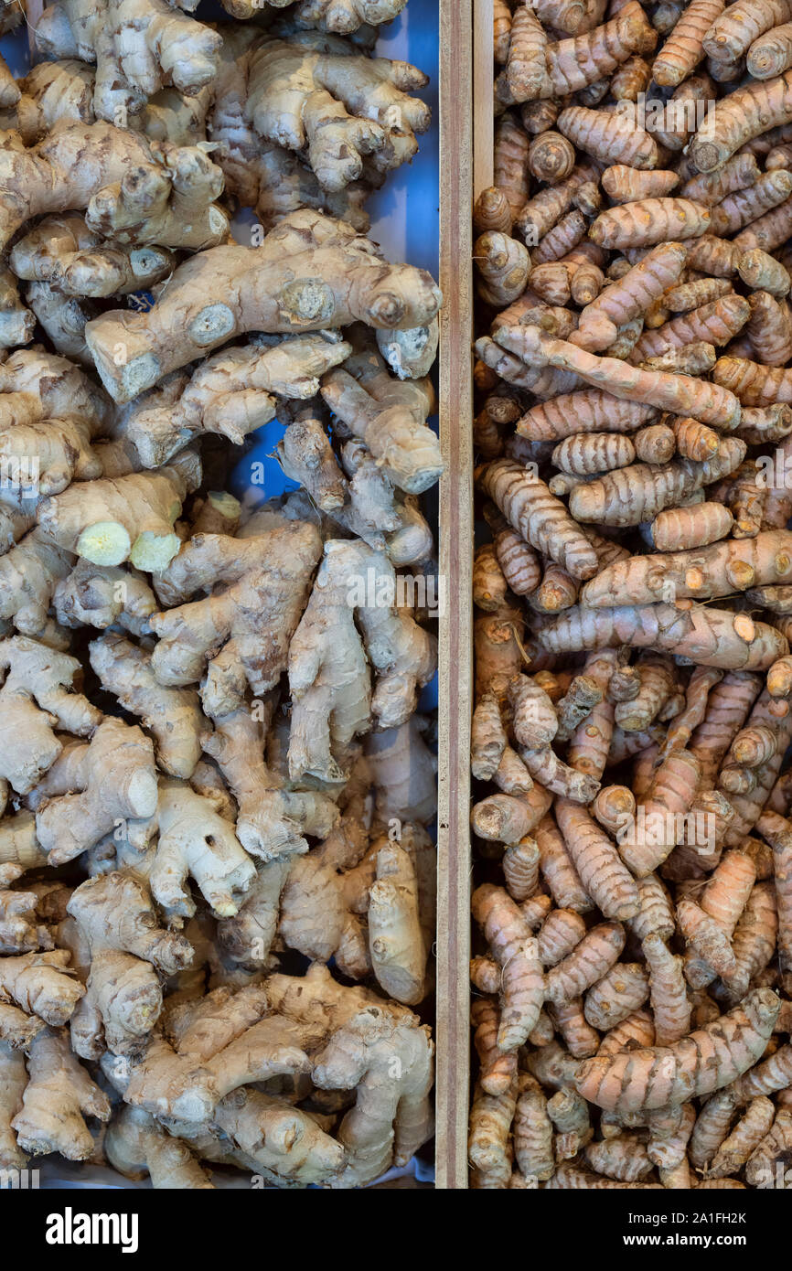 Zingiber officinale and Curcuma longa. Ginger and Turmeric roots on display at Daylesford autumn show. Cotswolds, Gloucestershire, England Stock Photo