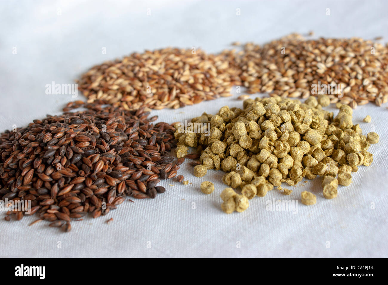 an amber lager pale ale beer and its component over a withe background